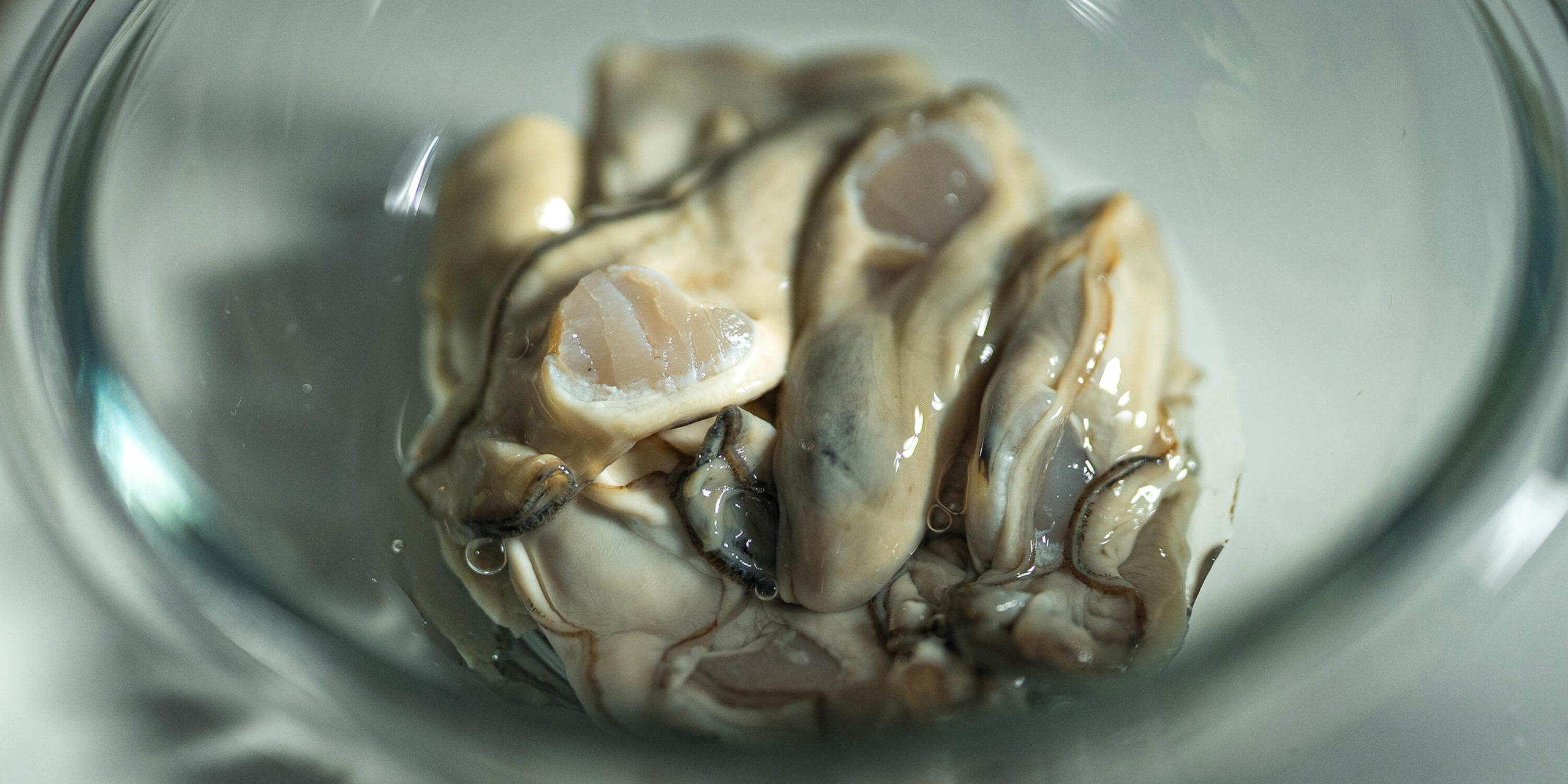 白菜と牡蠣の卵とじすき焼き　レシピ